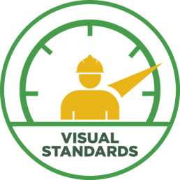 Visual Standards badge